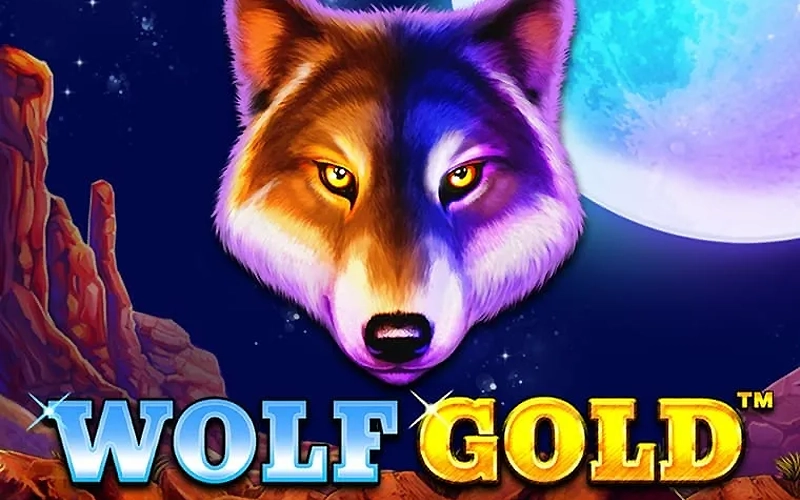 Spin Wolf Gold and chase jackpots at Ice Casino.